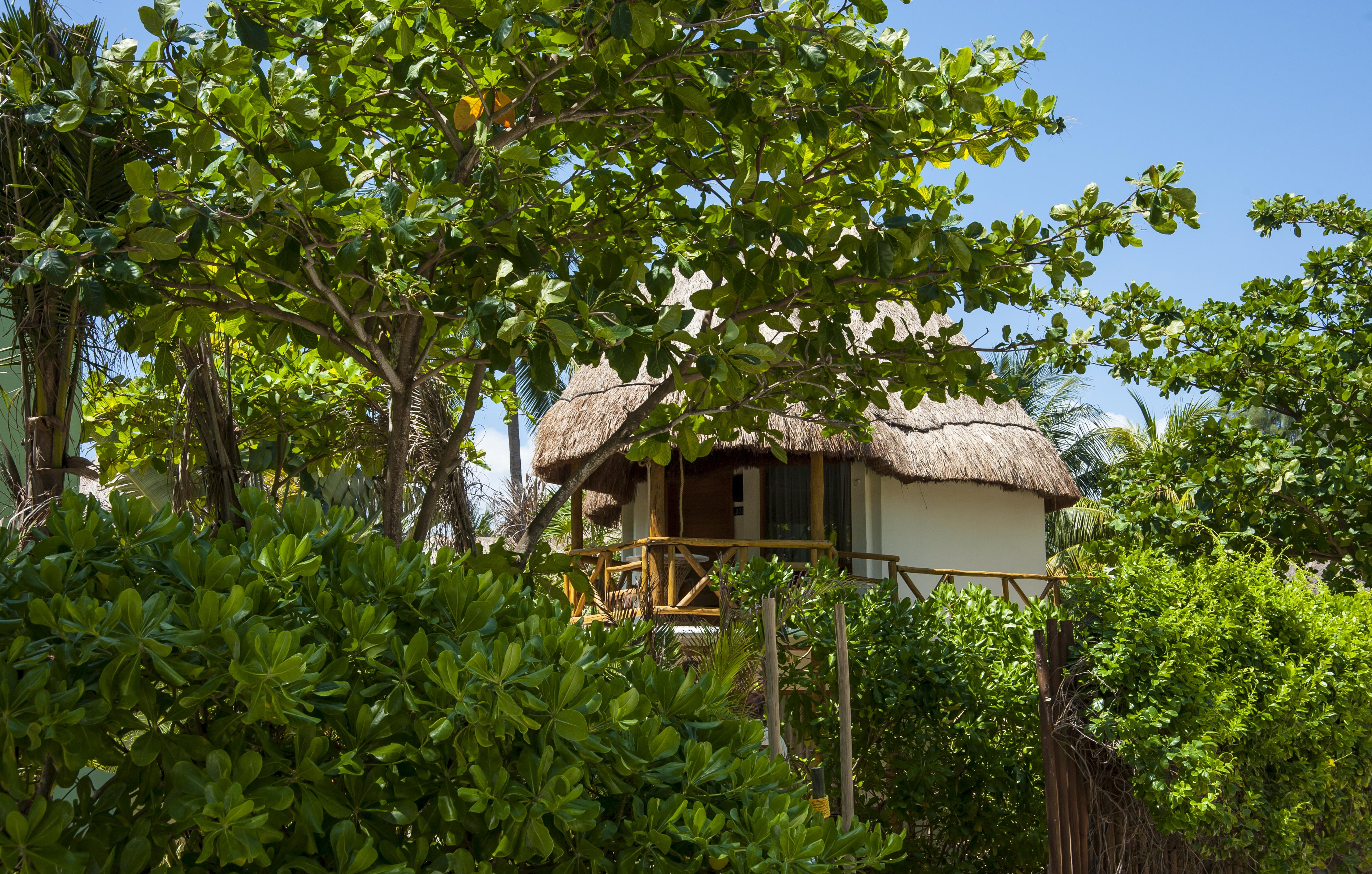 Mahekal Beach Front Resort & Spa Playa del Carmen Esterno foto